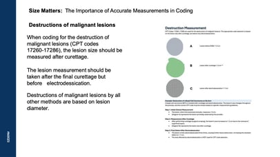 Size Matters: The Importance of Accurate Measurements in Coding