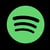 spotify icon
